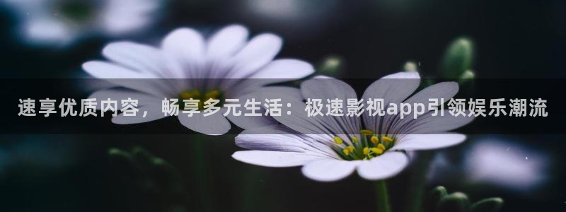 天龙影片：速享优质内容，畅享多元生活：极速影视app引领娱乐潮流