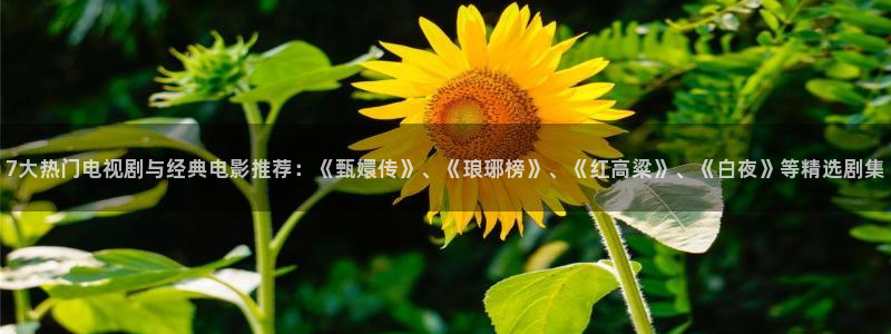天龙影院远古电影首官：7大热门电视剧与经典电影推荐：《甄嬛传》、《琅琊榜》、《红高粱》、《白夜》等精选剧集