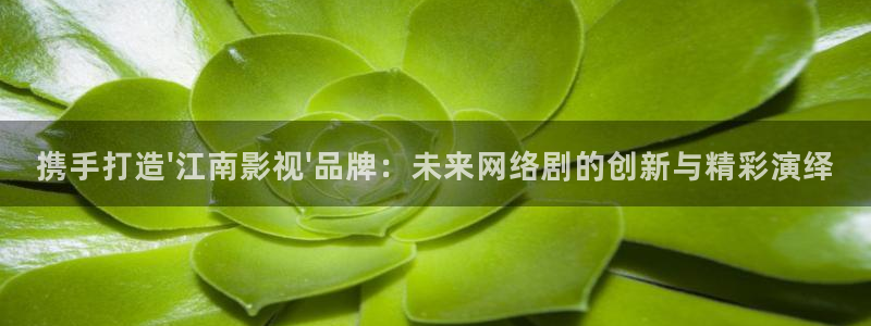 天龙远古高清影院官网：携手打造\'江南影视\'品牌：未来网络剧的创新与精彩演绎