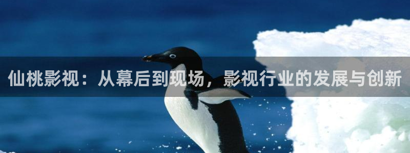 天龙影院视频站：仙桃影视：从幕后到现场，影视行业的发展与创新