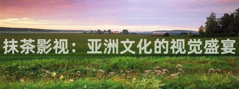 天龙影院古龙：抹茶影视：亚洲文化的视觉盛宴