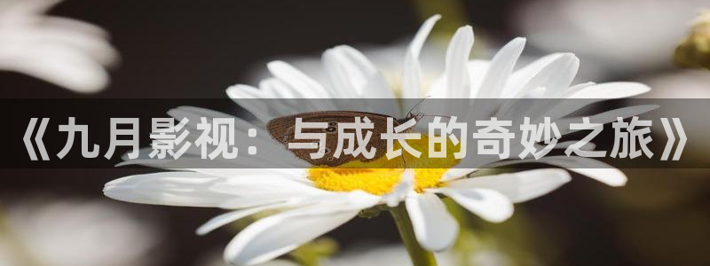 天龙影音：《九月影视：与成长的奇妙之旅》