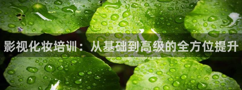 天龙影院手机：影视化妆培训：从基础到高级的全方位提升