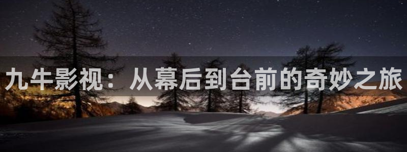 天龙影院高清远古：九牛影视：从幕后到台前的奇妙之旅