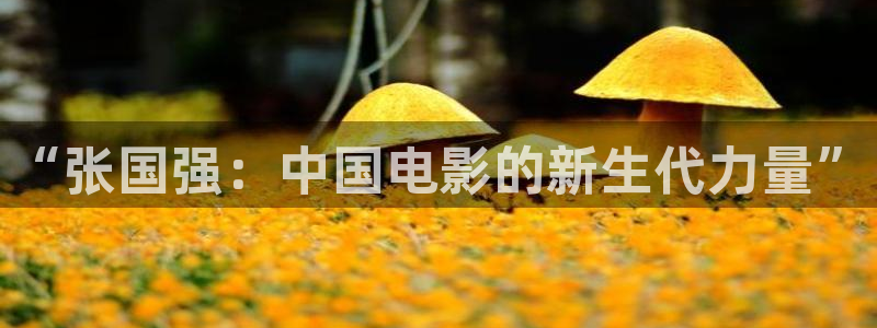 天龙影院在线：“张国强：中国电影的新生代力量”