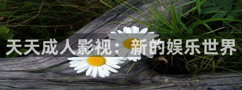 国产剧天龙高清影院：天天成人影视：新的娱乐世界