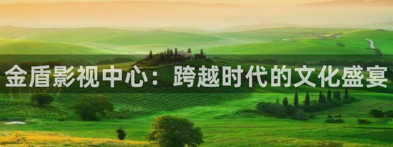 天龙影音：金盾影视中心：跨越时代的文化盛宴