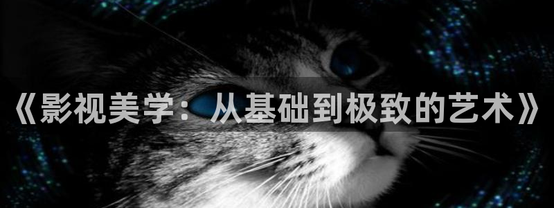 天龙影院视频站：《影视美学：从基础到极致的艺术》