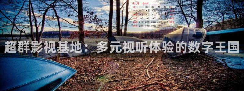 天龙影视网：超群影视基地：多元视听体验的数字王国