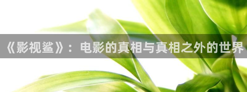 天龙手机影院：《影视鲨》：电影的真相与真相之外的世界